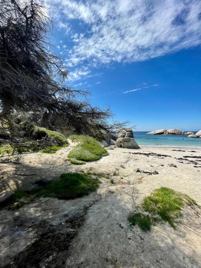 Sail Away Studios Simon's Town Luaran gambar